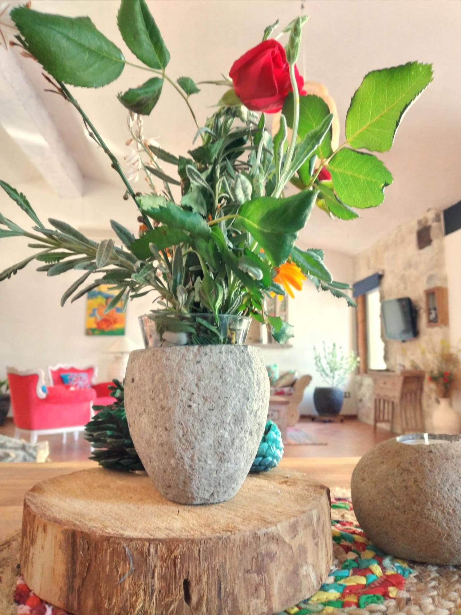Loft Carriones Villa Castilléjar Eksteriør billede